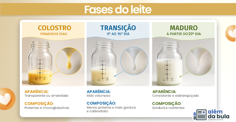 Fases do leite materno Três frascos de vidro mostram diferentes fases do leite materno. Colostro: líquido transparente ou amarelado, rico em proteínas e imunidade. Transição: líquido mais volumoso, com menos proteína e mais gordura e carboidratos. Maduro: líquido esbranquiçado e consistente, com gordura e nutrientes. No canto inferior direito, há um logotipo com a frase “Cuidando de você”.