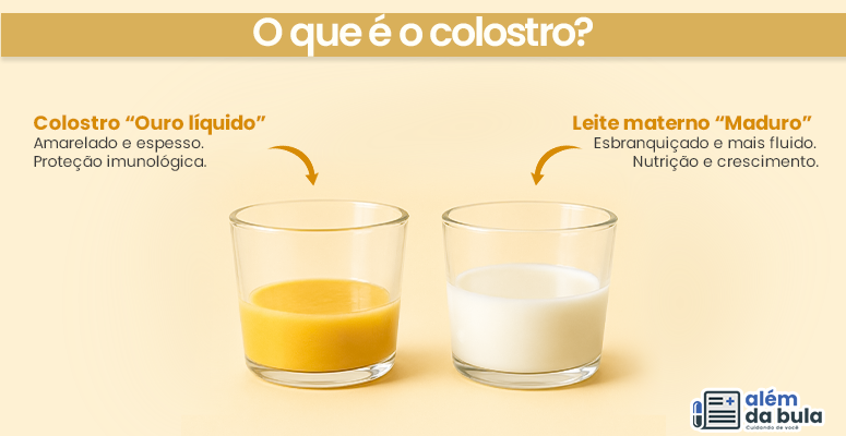 Dois copos transparentes lado a lado. À esquerda: líquido amarelo e espesso, chamado “Colostro – Ouro líquido”, com função de proteção imunológica. À direita: líquido branco e mais fluido, chamado “Leite materno maduro”, com função de nutrição e crescimento. O fundo é amarelo claro e há um logotipo no canto inferior direito.