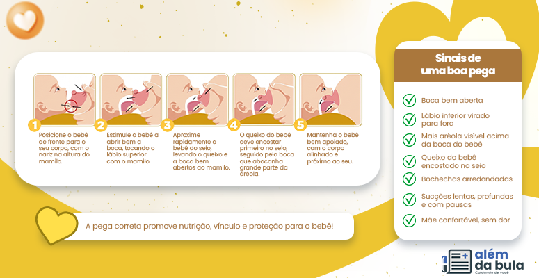Imagem ilustrativa que mostra diversos exemplos de como deve ser a pega correta dos bebês.